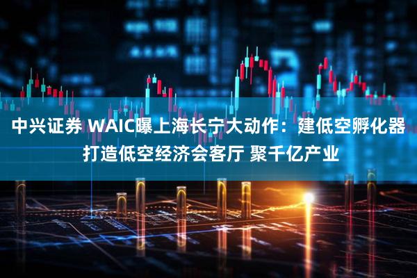 中兴证券 WAIC曝上海长宁大动作：建低空孵化器 打造低空经济会客厅 聚千亿产业