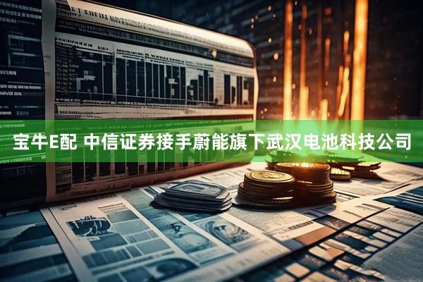 宝牛E配 中信证券接手蔚能旗下武汉电池科技公司